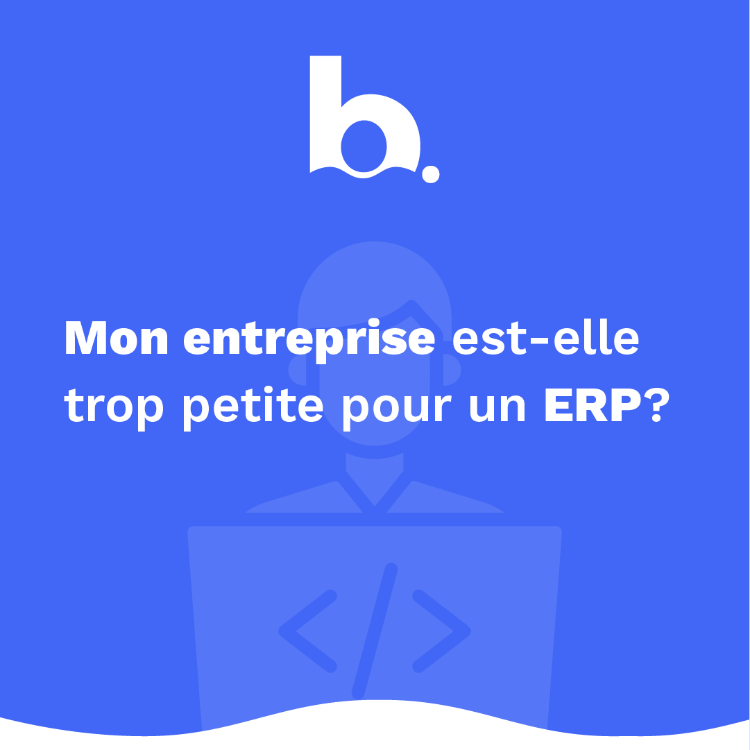 Votre entreprise est-elle trop petite pour un ERP ? - Cover Image